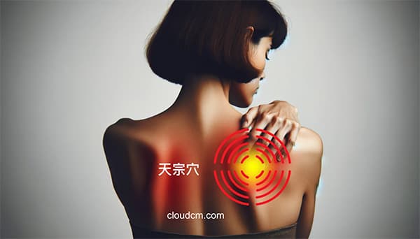 疏通女性的天宗穴可以預防乳房疾病