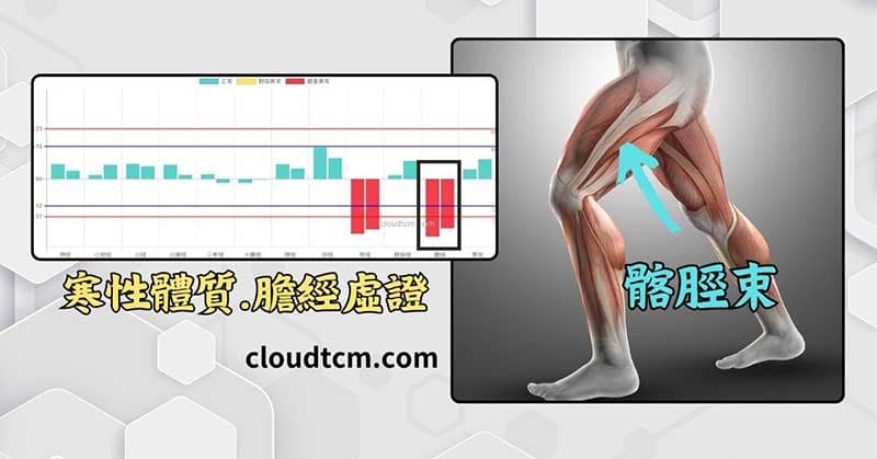 現代人長期膽經阻塞,可以疏通髂脛束肌肉群