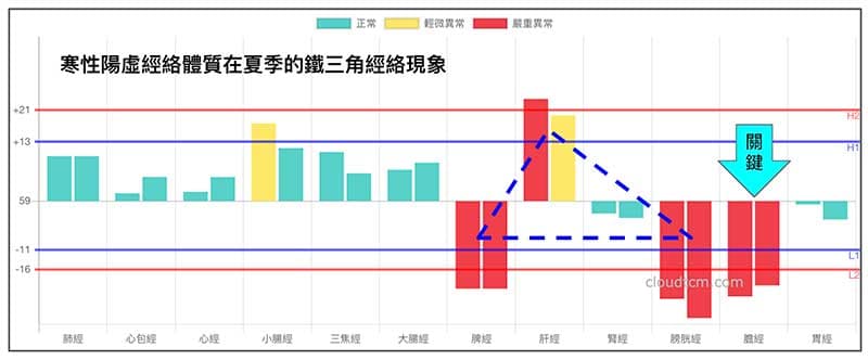寒性體質的人依然會在夏季短暫出現鐵三角經絡型態