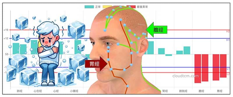 寒性體質的人，膽經與胃經長年虛證