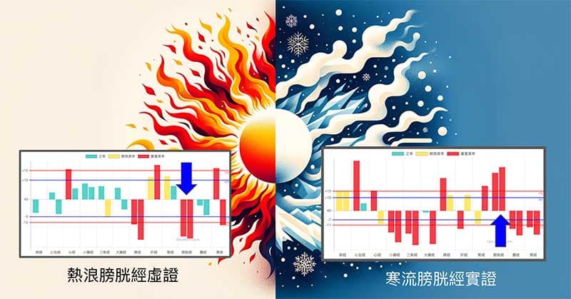 寒流與熱浪下的膀胱經能量完全相反