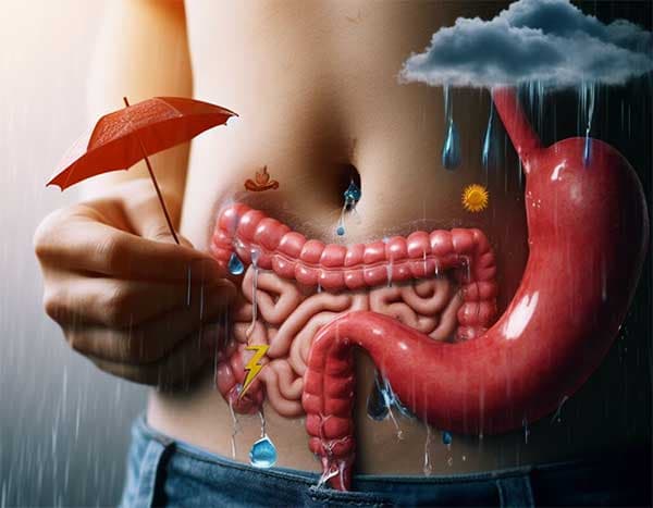 寒濕、濕熱的身體環境，最容易出現大腸疾病