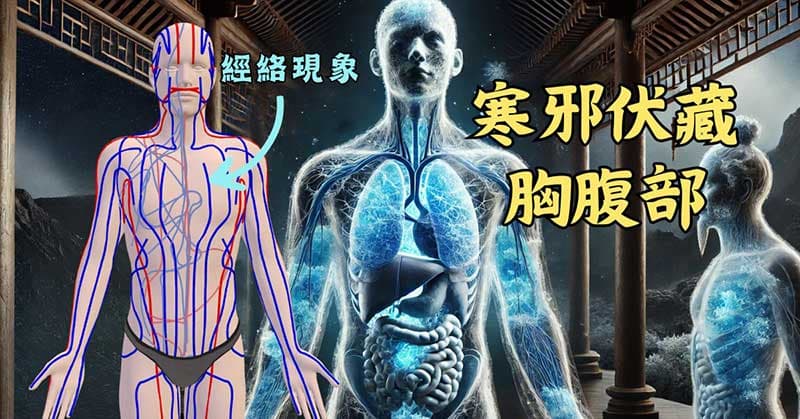 寒邪伏藏在胸腹部,是最終寒氣的大本營