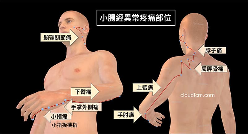 小腸經異常時常見的疼痛部位