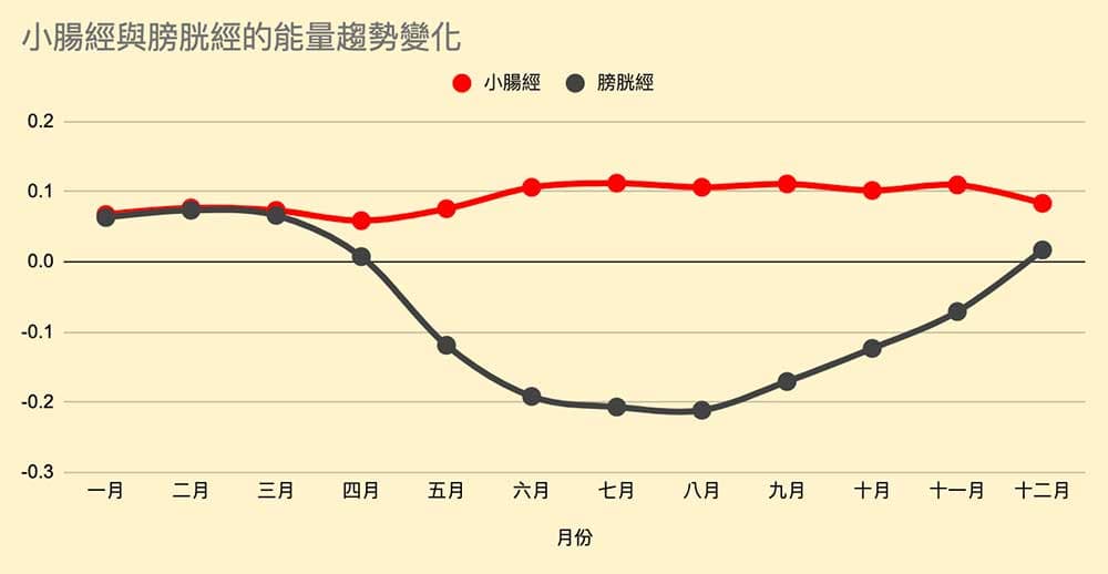 小腸經與膀胱經的能量趨勢變化