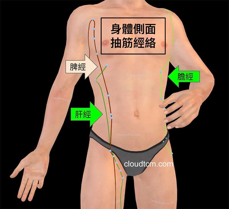 身體側面肌肉抽筋,受到肝經、脾經與膽經影響