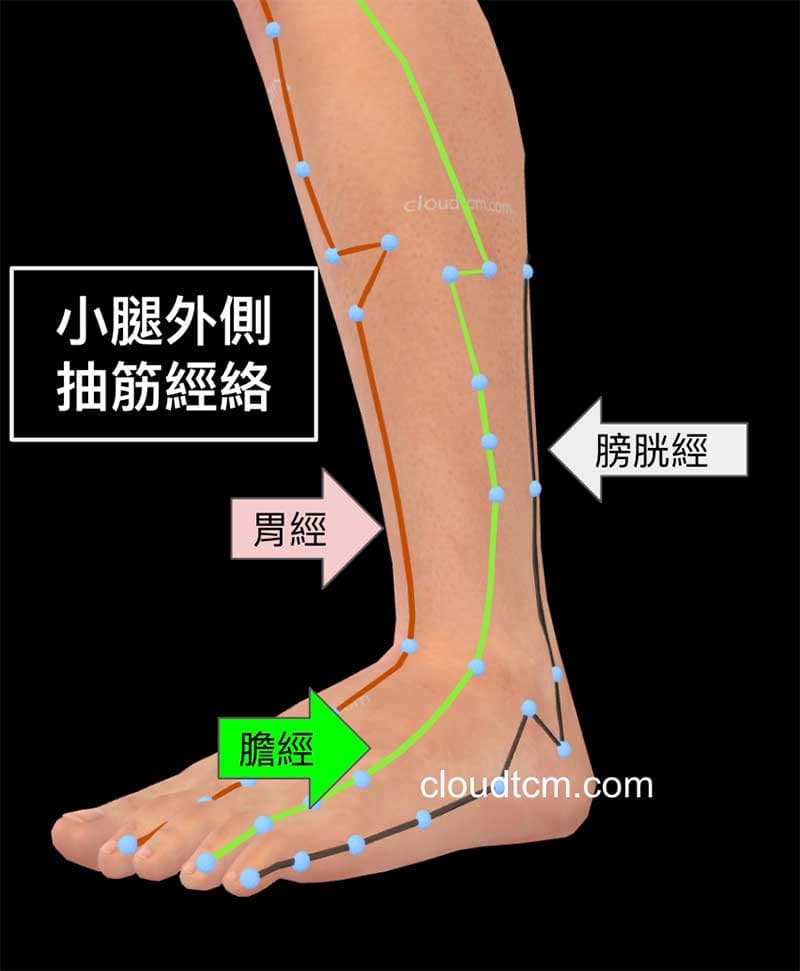 小腿內側抽筋,主要受到膀胱經、膽經與胃經影響