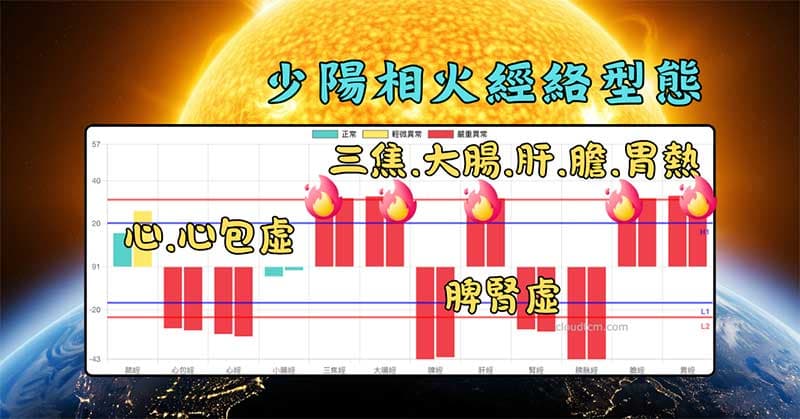 少陽相火的經絡模型,體內呈現明顯火熱狀態
