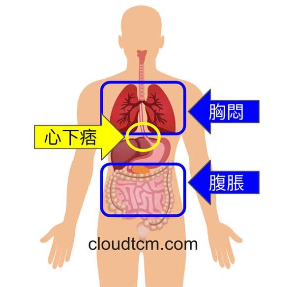 腹脹滿經常與「心下痞」與「胸悶」一起辨別