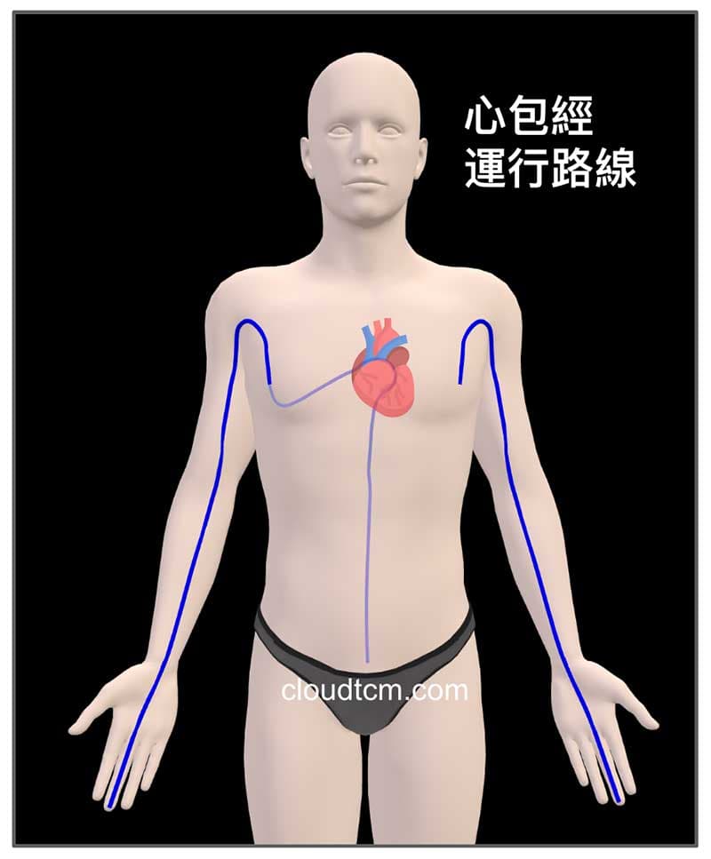 心包經起於胸部，也會影響到腹部
