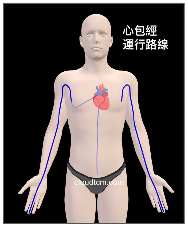 心包經起於胸部,也會影響到腹部