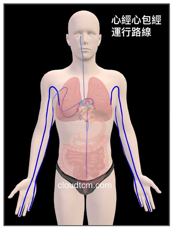 中醫的心臟包含一系列的臟象功能,透過經絡來聯繫