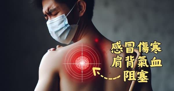 感冒傷寒時,背部的肩胛骨容易氣血阻塞