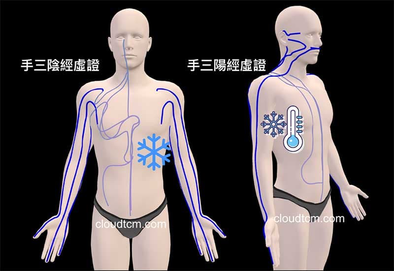 從3D 理解手三陰、手三陽經虛證