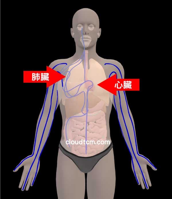 手三陰經虛證時，會影響到肺臟與心臟