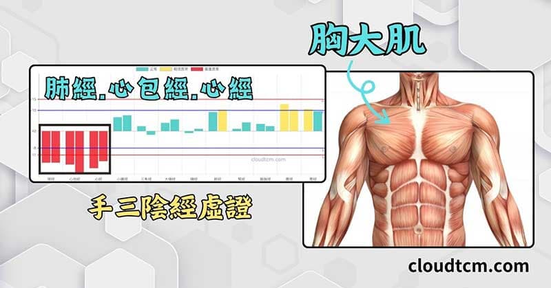 一定比例的人手三陰經虛證,造成胸部肌肉沾粘
