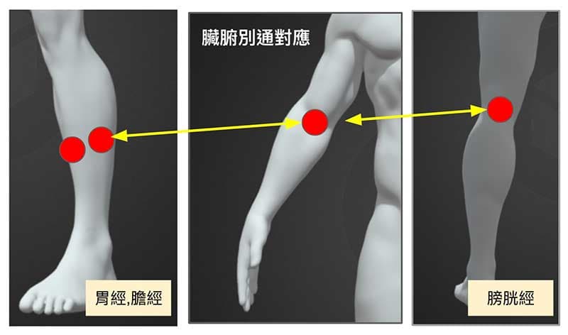 手肘窩痛的臟腑別通對應