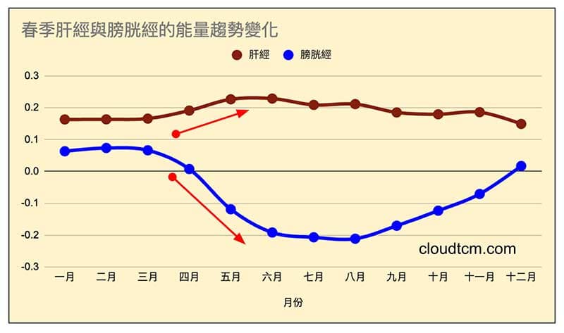 進入春末之後肝經能量提升,膀胱經能量下降