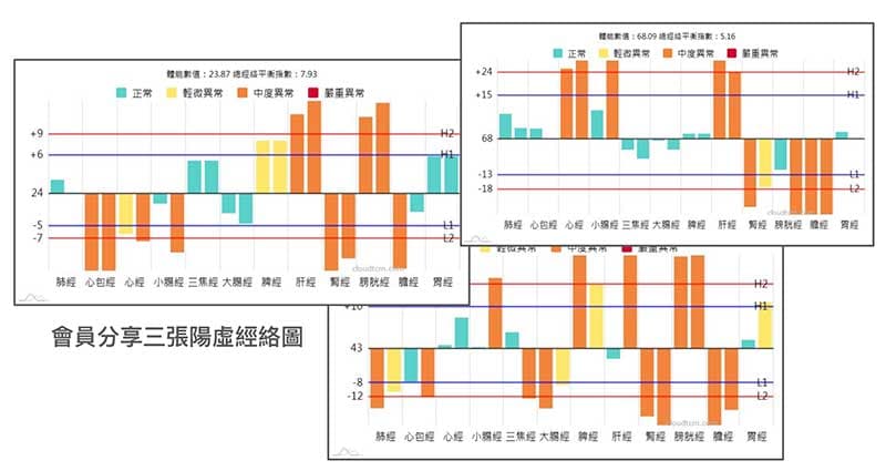 分享三張陽虛的經絡型態圖