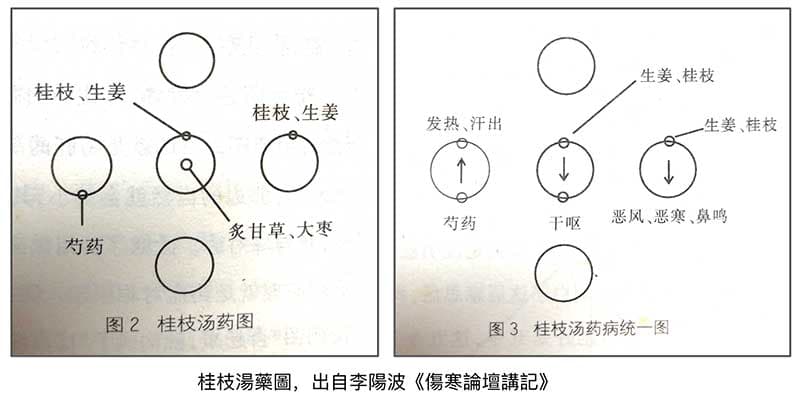 桂枝湯藥圖,出自李陽波《傷寒論壇講記》
