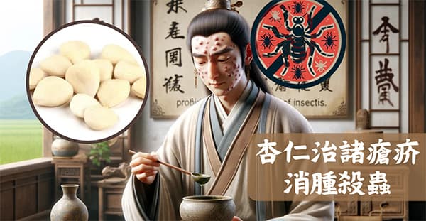 杏人可以驅蟲殺蟲,治療皮膚病