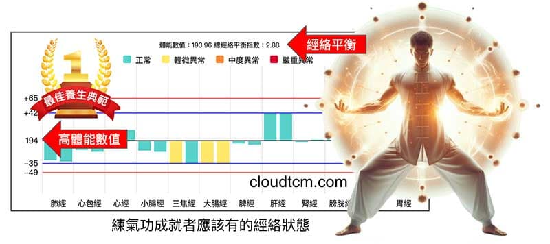 練氣功成就的人,理論上應該出現高能量且平衡的經絡狀態