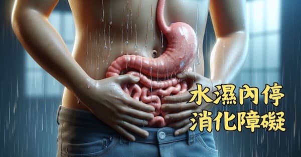 腹部水濕積聚,容易造成食物消化不良