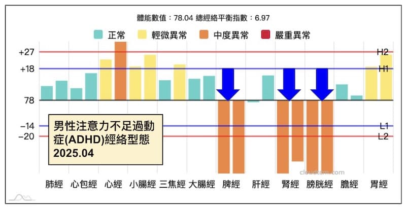 男性注意力不集中,記憶力衰退經絡型態