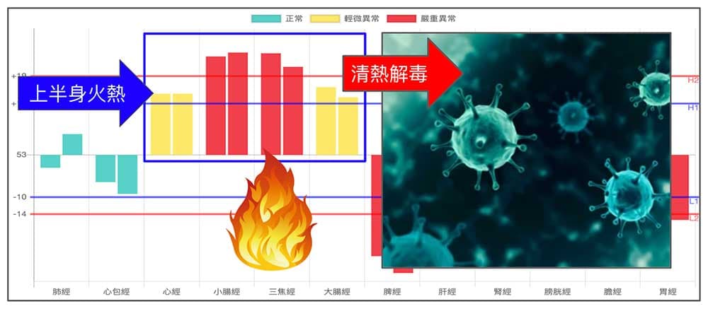 清熱解毒提升免疫力