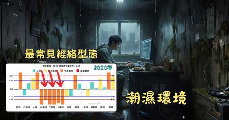 某會員居住在潮濕的環境,整整一年最常見的經絡型態