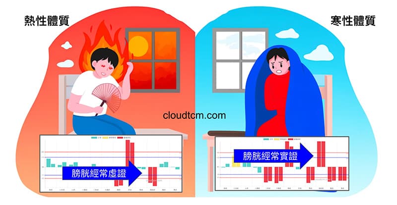 熱性體質的膀胱經容易虛證,寒性陽虛體質的膀胱經容易實證
