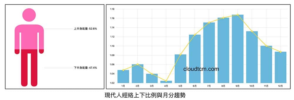 現代人上半身能量普遍較下半身還要強