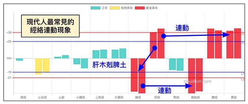 現代人最常見的經絡連動現象,建構出鐵三角