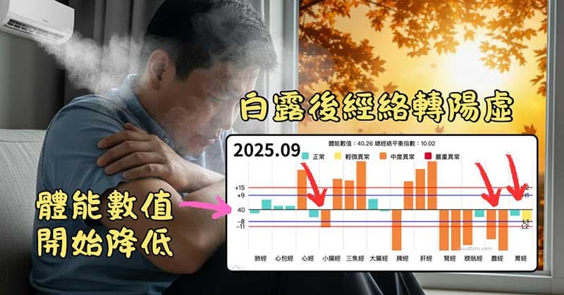 會員發現自己的經絡,在進入白露之後開始轉陽虛