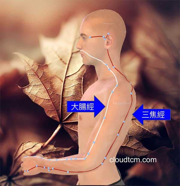 秋季容易出現肩頸酸痛