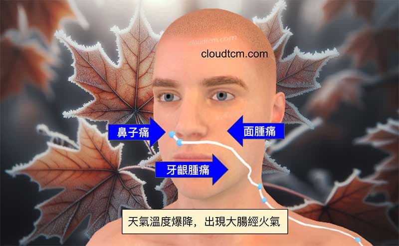 天氣降溫,反而出現大腸經火氣症狀