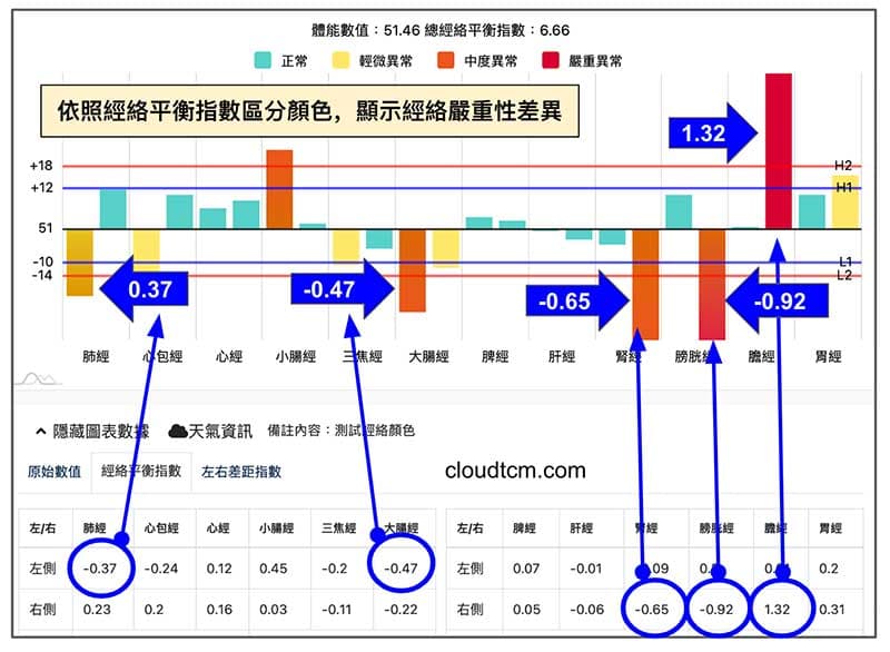 依照經絡平衡指數區分顏色，顯示經絡嚴重性差異