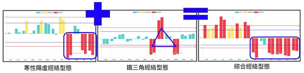 綜合經絡型態的組成