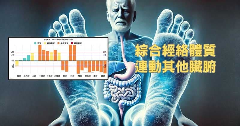 綜合經絡體質,最後會連動其他臟腑
