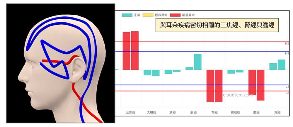 耳朵疾病通成與三焦經、膽經與腎經有關