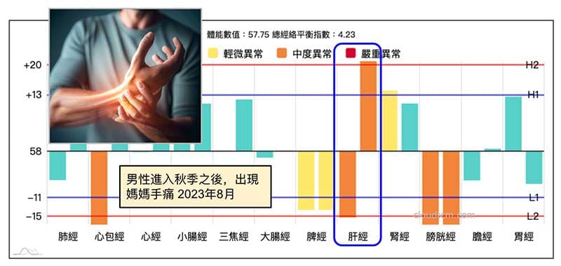 肝經能量左右差距,反映在右手的媽媽手痛