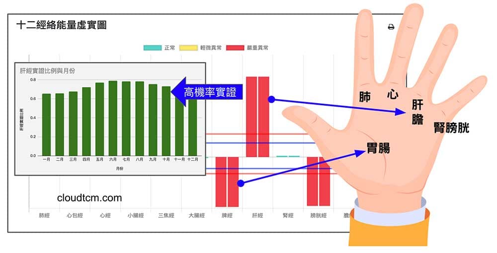 現代人肝經實證,肝胃不和