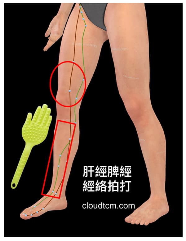 沿著肝經、脾經進行經絡拍打