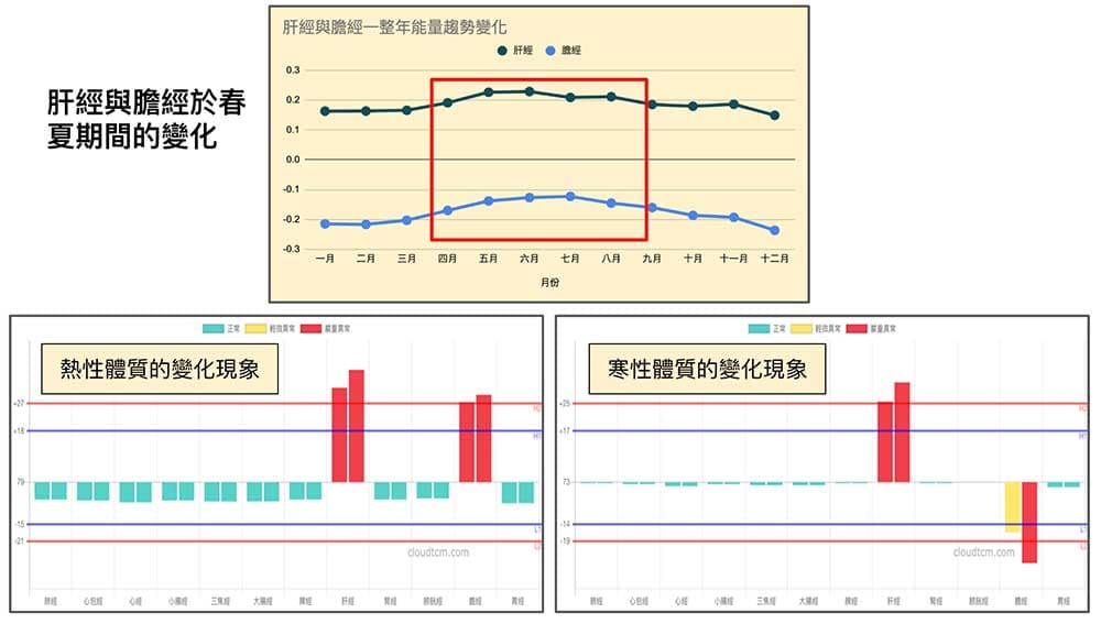 春夏期間，肝經與膽經主要會出現這兩種變化