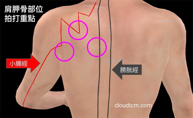 肩胛骨附近拍打的重點部位
