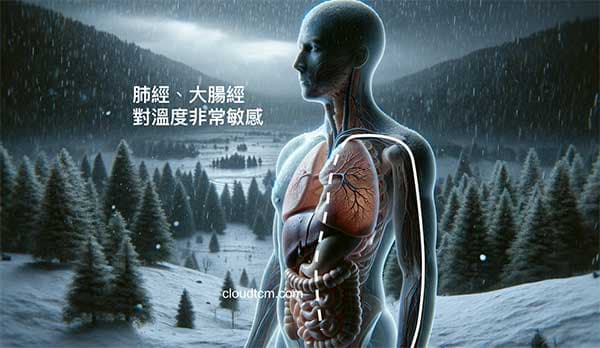 肺經與大腸經對於溫度是非常的敏感的