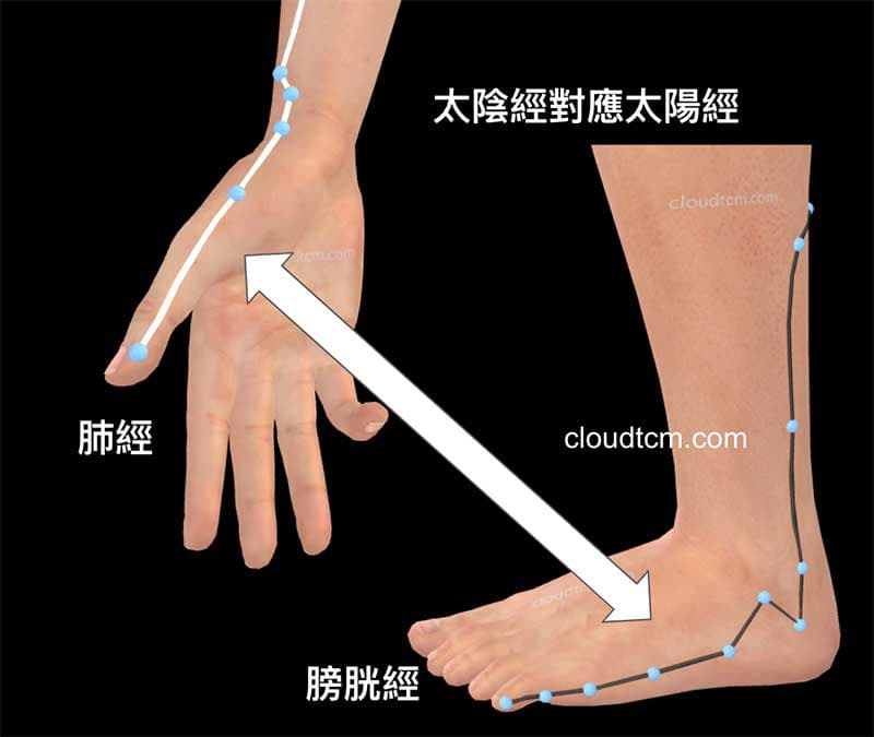 肺經對應膀胱經,找出改善腳外側痛的穴道