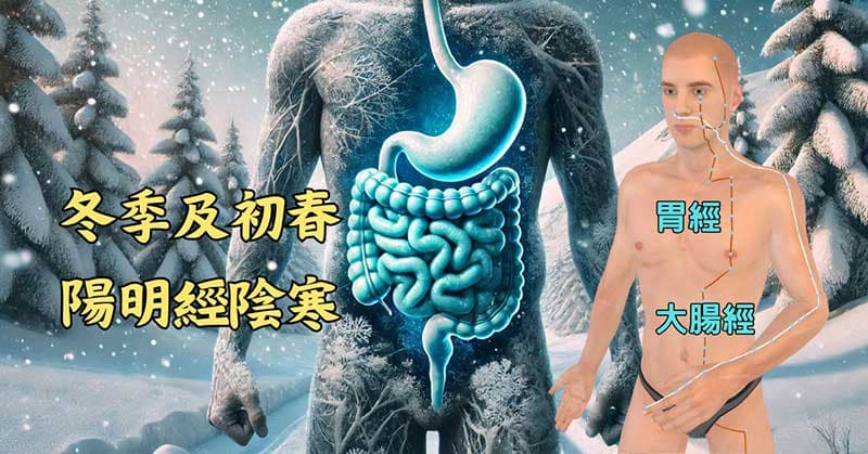 冬季及初春,有些人體內的陽明經非常陰寒