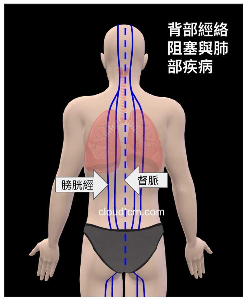 背部經絡阻塞造成肺部疾病