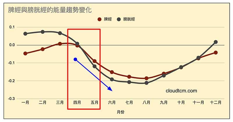 脾經與膀胱經在五月能量開始迅速下降
